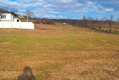 Teren de 7000 mp, în Solești - 1