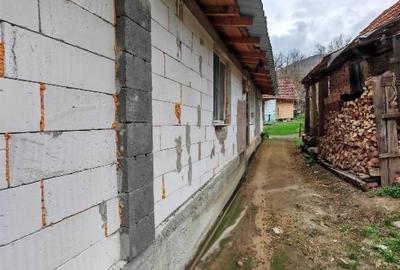 Casă individuală cu 4 camere cu Teren 12000 Mp în Rapoltu Mare - 8