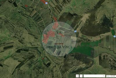 Teren Construcții intravilan de 38000 mp, în Borșa - 2