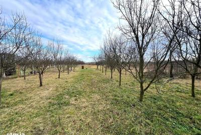 Casă cu 3 camere în Berindan - 4