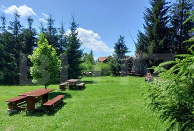 Ocazie , cabana, 300 mp utili, Poiana Stampei cu 6060 mp ter - 3