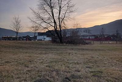 Teren de 1500 mp, în Pângărați - 1