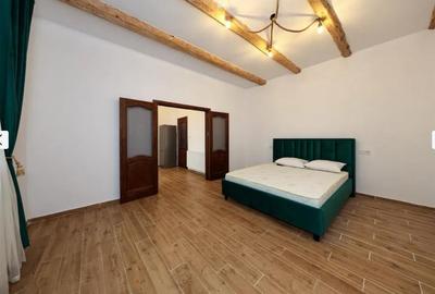 Casă individuală cu 2 camere cu Teren 120 Mp în Schei - 3