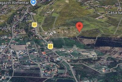 Spațiu comercial, în Săldăbagiu de Munte - 1