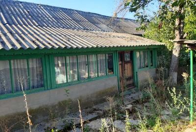 Casă în Enisala - 4