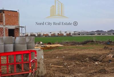 Teren Tunari - Lot Tunari- 12.000 mp- 32 EUR/MP - 5