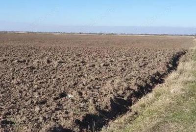 Teren extravilan- Com. Siria, jud. Arad - 4