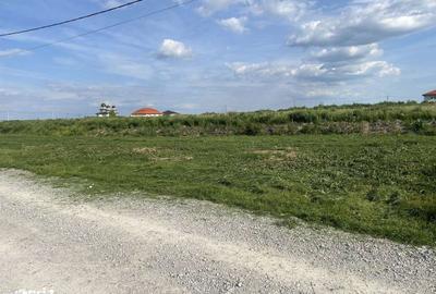 Teren de 500 mp, în Oșorhei - 2