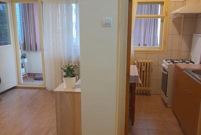 CAMPIA LIBERTATII ,GARSONIERA INCHIRIERE - 4