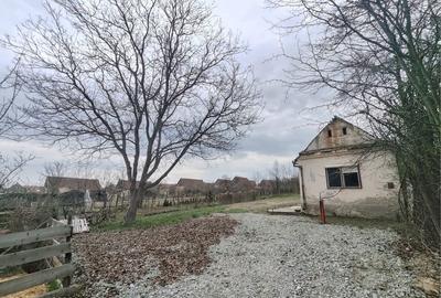 Casă cu 3 camere în Săcel - 6