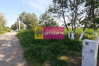 Teren Construcții intravilan de 5000 mp, în Copăceni - 13