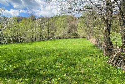Teren de 1220 mp, în Teșila - 1