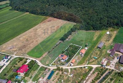 Teren Construcții intravilan de 2469 mp, în Bălata - 13