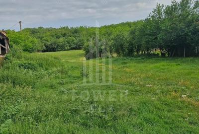 De vanzare Teren versatil 3.919 mp in localitatea Armeni. Sibiu - 7