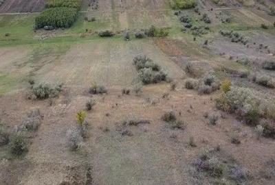 Teren extravilan Perieni, cota parte 6/16 , ID: R2822105 - 2