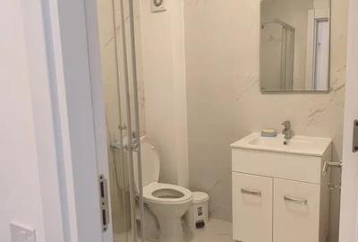 Inchiriere Garsoniera Noua Centrala Proprie Petfriendly Aparatorii Patriei - 8