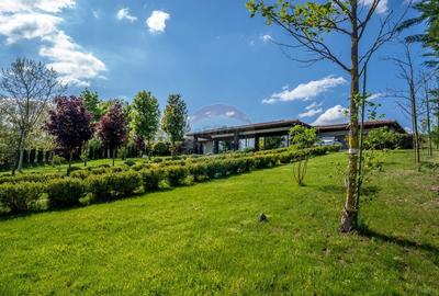 Pret Preferential- Oferta limitata pana la 31 Decembrie - 32