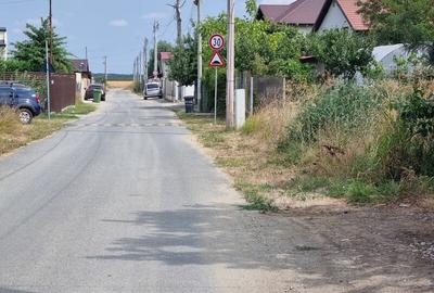 Vanzare Teren Rezidential 1 Decembrie Ilfov 35000mp - 6