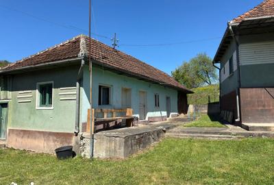 Casă cu 4 camere cu Teren 7247 Mp în Băița - 8