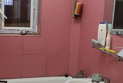 Stirbei Voda, Conservator - 2