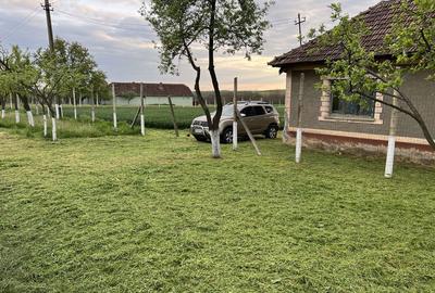 Spațiu comercial, în Crestur - 3