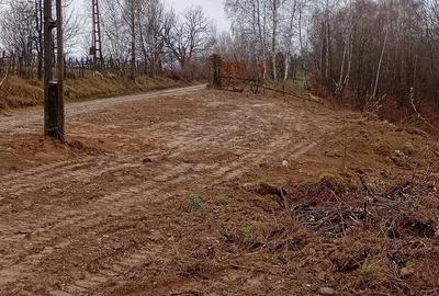 Teren de 2000 mp, în Bulz - 3