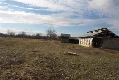 Teren de 7800 mp, în Central - 1