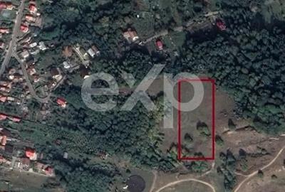 Teren Construcții intravilan de 5000 mp, în Curtea de Argeș - 1