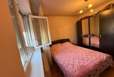 Apartament 2 camere decomandat, 57 mp, Lapus Arges, Zona Metal Lemn - 4