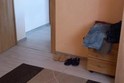 Casă cu 3 camere cu Teren 5000 Mp în Gurasada