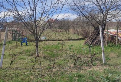 Casă cu 5 camere cu Teren 80 Mp în Central