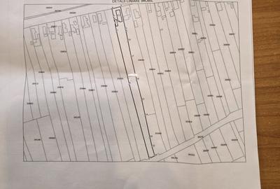 Teren intravilan de 3025 mp, în Partizani - 2