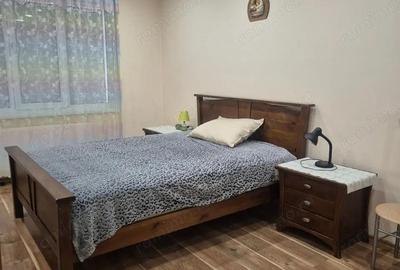 Apartament cu o camera de inchiriat in zona Lipovei - 1