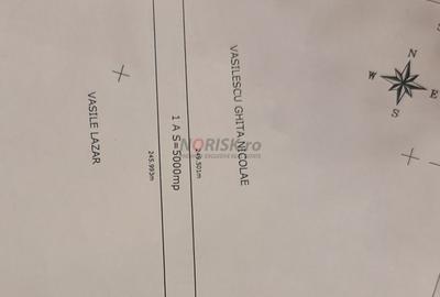 Terenuri Ciorogarla - 500mp -> 7.500mp -> 4 Ha - 5