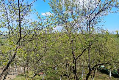 Casă cu 4 camere în Herneacova - 7