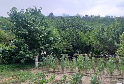 Casă cu 3 camere cu Teren 1700 Mp în Izvoarele - 10
