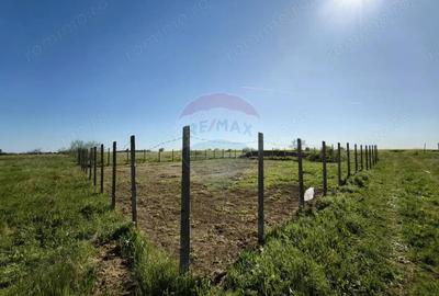 Teren 430mp Techirghiol / Parcela A233