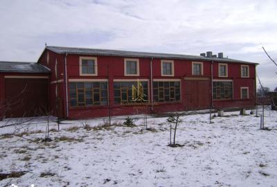 Spațiu comercial, de 600 mp, în Dumbrăveni - 5