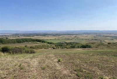 Teren extravilan de vanzare in Tileagd - 3166 mp cu panorama superba - 2