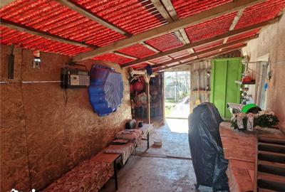 Casă cu 1 camere cu Teren 2676 Mp în Șimian - 3