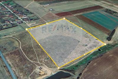 Teren extravilan Alunis-Arad. 92.700 mp Inchiriere pt parc fotovoltaic - 3