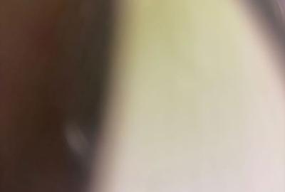 Casă cu 2 camere cu Teren 90 Mp în Ștrand - 1