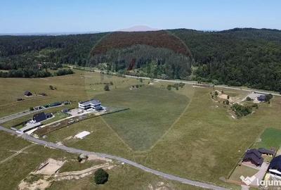Teren de 3322 mp, în Paltin - 4