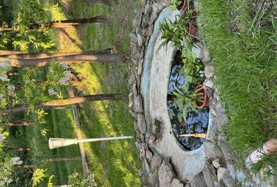 Casă cu 5 camere în Lugojel - 1