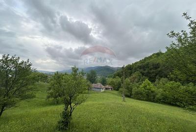 Teren 2,000mp Copalnic-Manastur / Strada Principala - 1