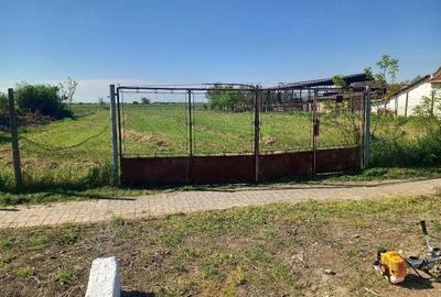 Teren de 2900 mp, în Comloșu Mare - 2