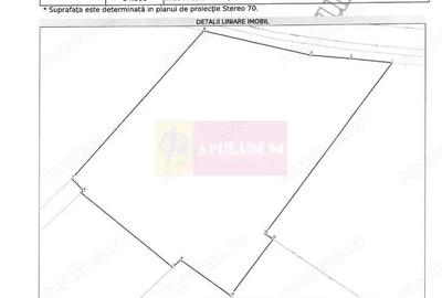 Teren de 131935 mp, în Est - 10