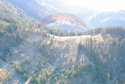 Teren 31,461mp Panaci / Prelungirea Ialovita - 3