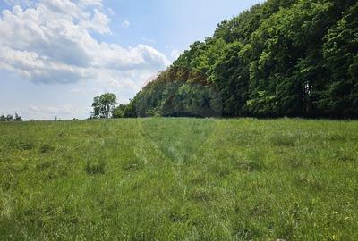 Teren Ilisesti  7000mp extravilan/ DN 17, Suceava - 20