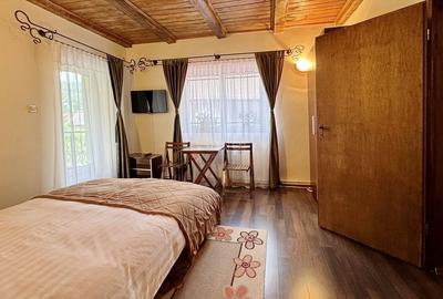 Casa De Vanzare Langa Padure - 15